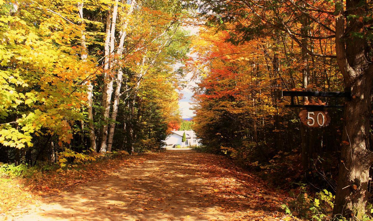 Chalet Riverain Crds Tremblant Lac-Superieur Eksteriør billede